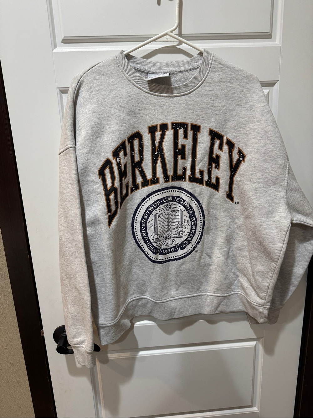 Berkeley Graphic Crewneck Sweatshirt - Light Gray| Unisex Medium